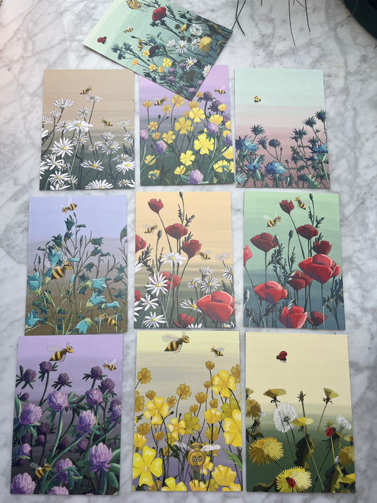 Blomsterkort samling